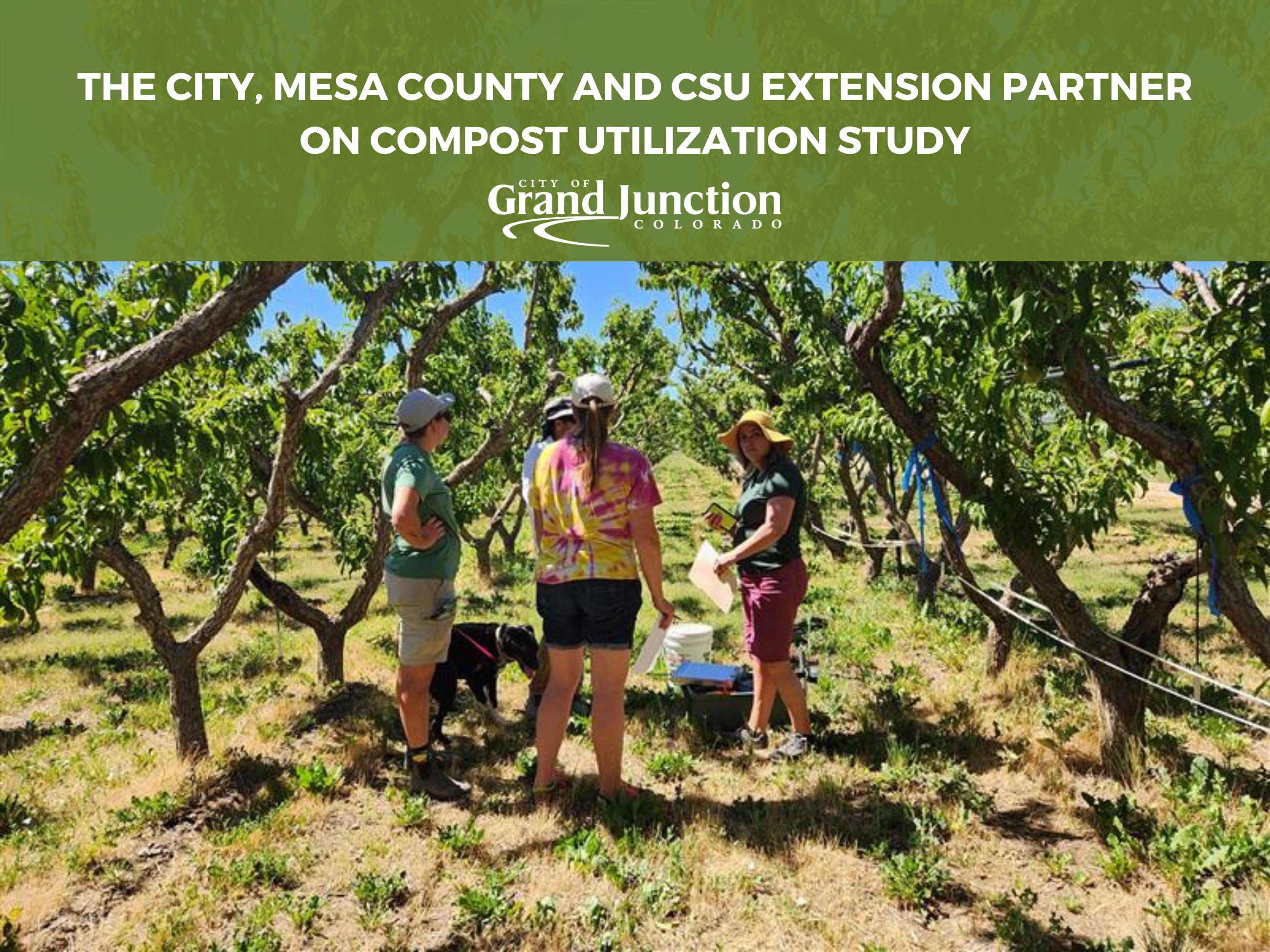 People in an orchard with research material. Text on graphic. 