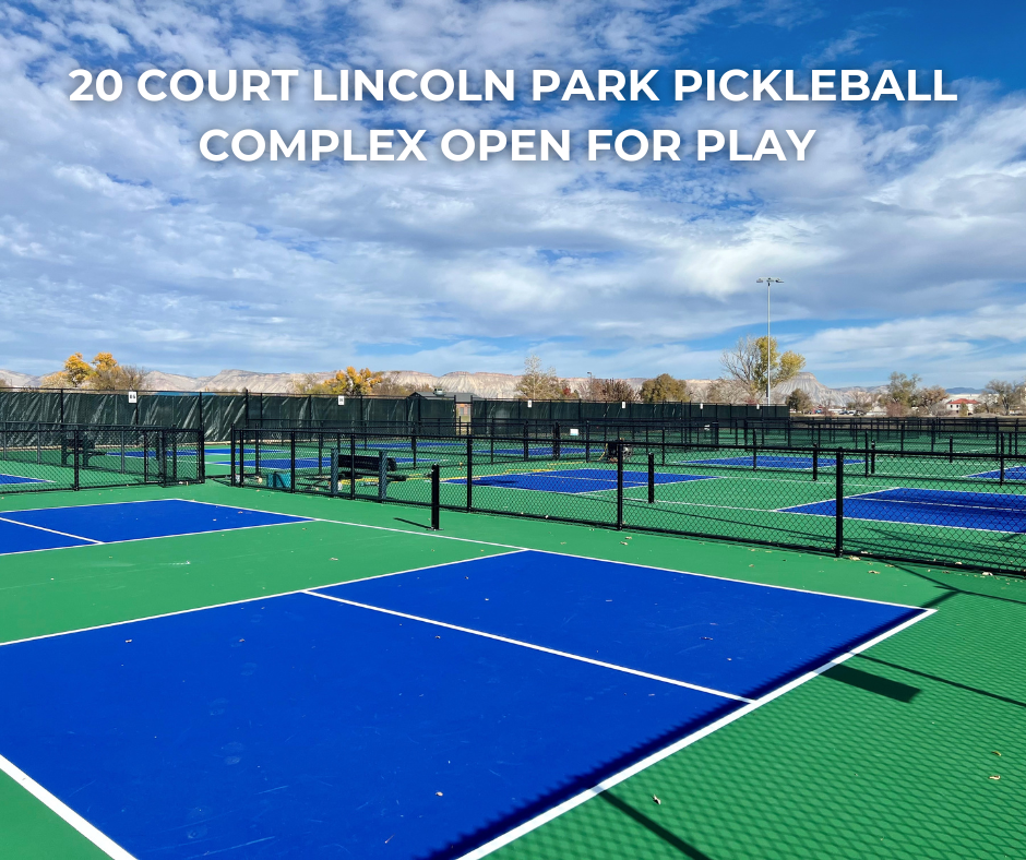 20 Court Lincoln Park Pickleball Complex