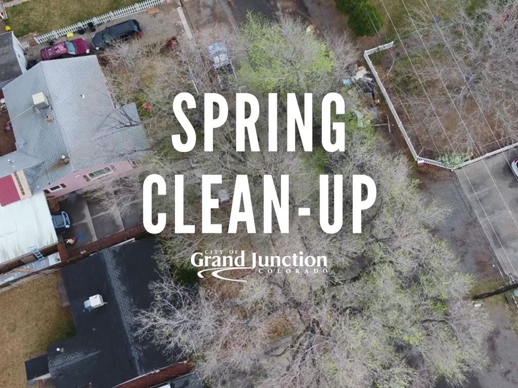 Ariel view of a large tree in front of a home. Text on graphic 