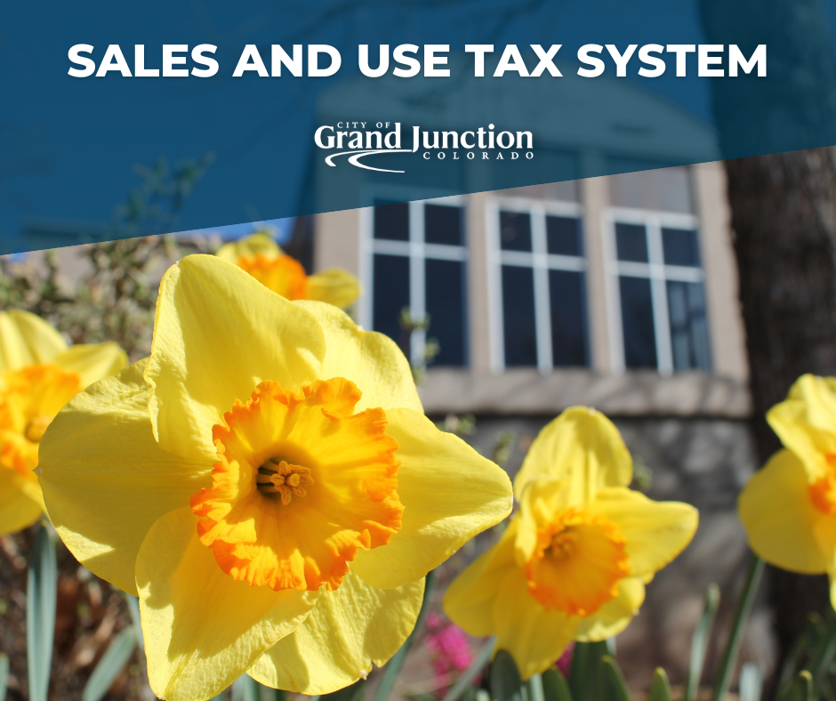 City Hall with yellow flowers