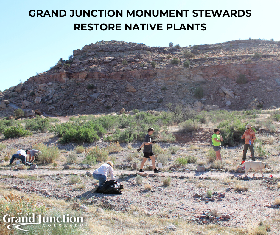 A group of people on the Lunch Loops trail planting native seedlings. Text on graphic.