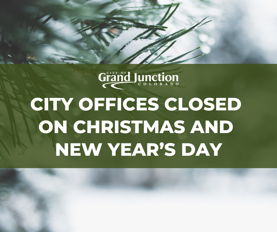 Pine tree branch with frost on it, text on graphic