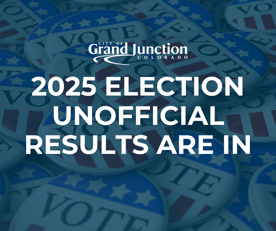 2025 election information