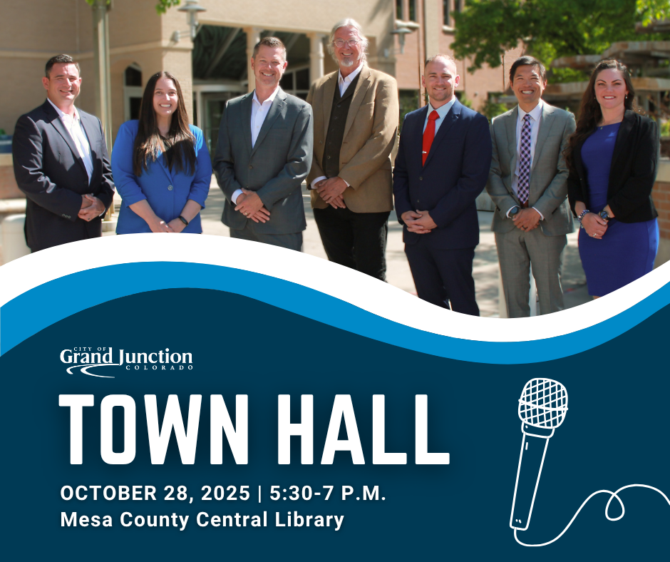 Graphic with photo of City Council included. Text stating 