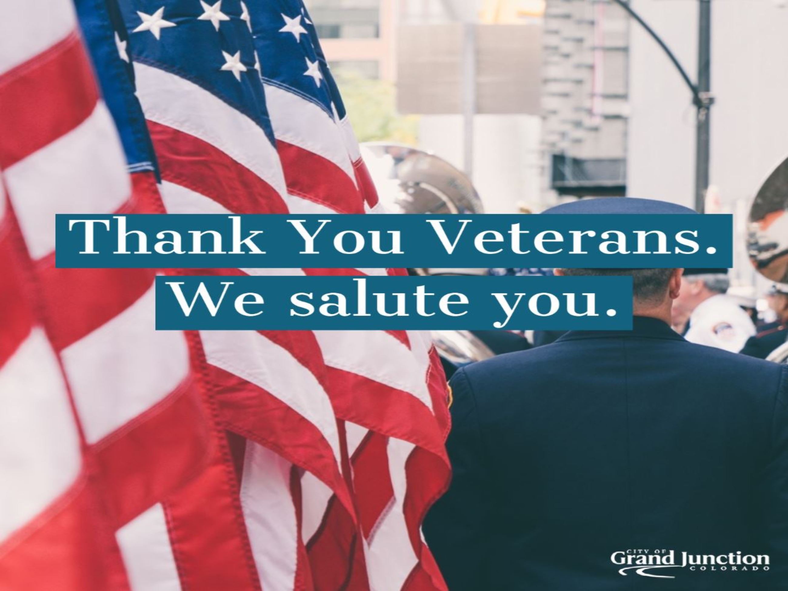 Veterans Day Picture