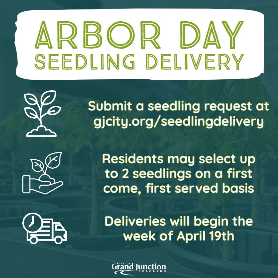 Seedling Delivery