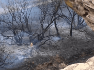 smoldering brush and grass