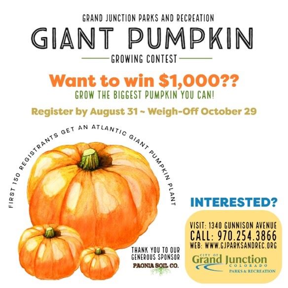 Pumpkin Graphic with contest information