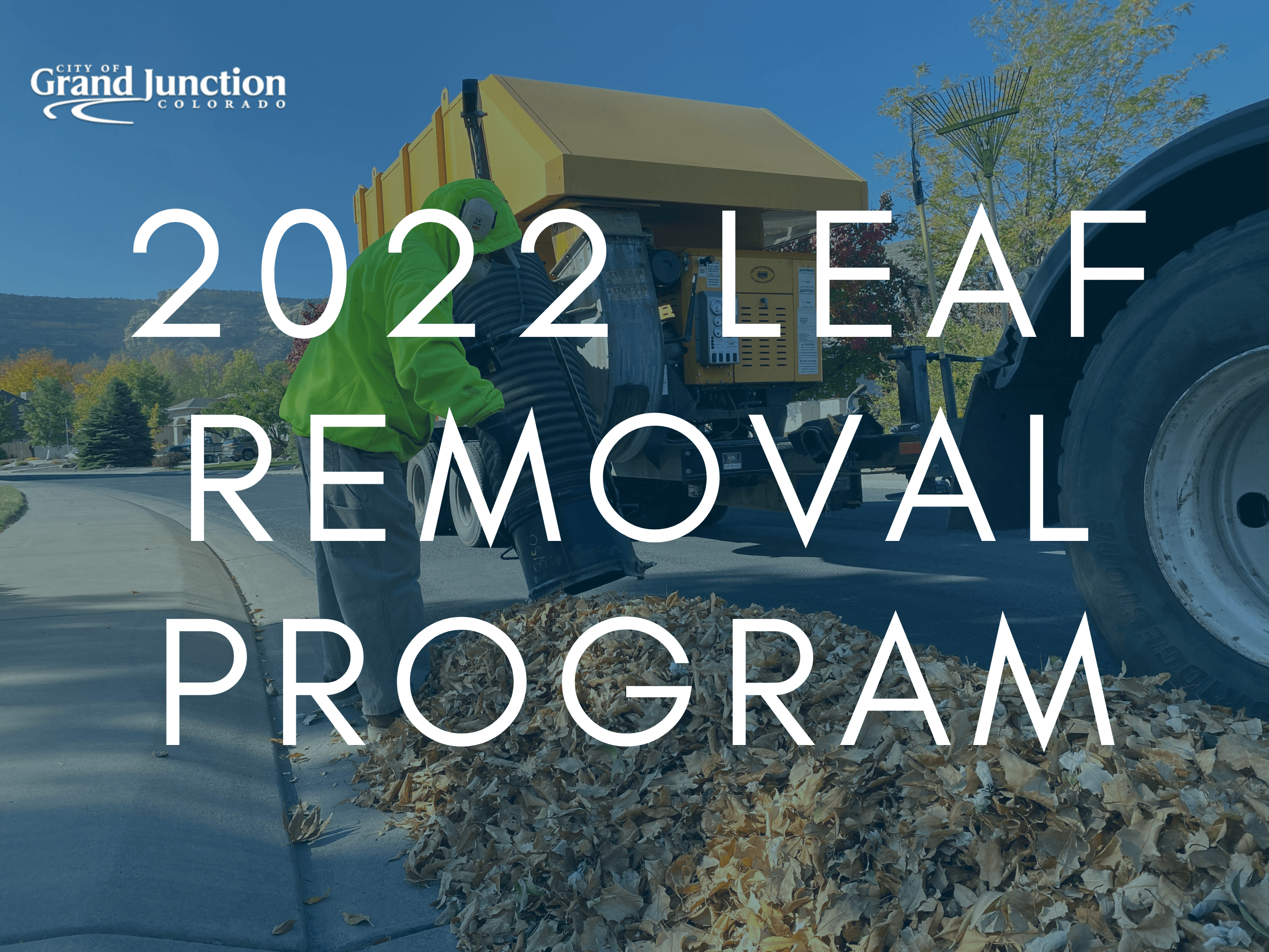 Leaf Removal Program News Flash