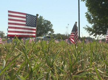small USA flags planted in formation into grass