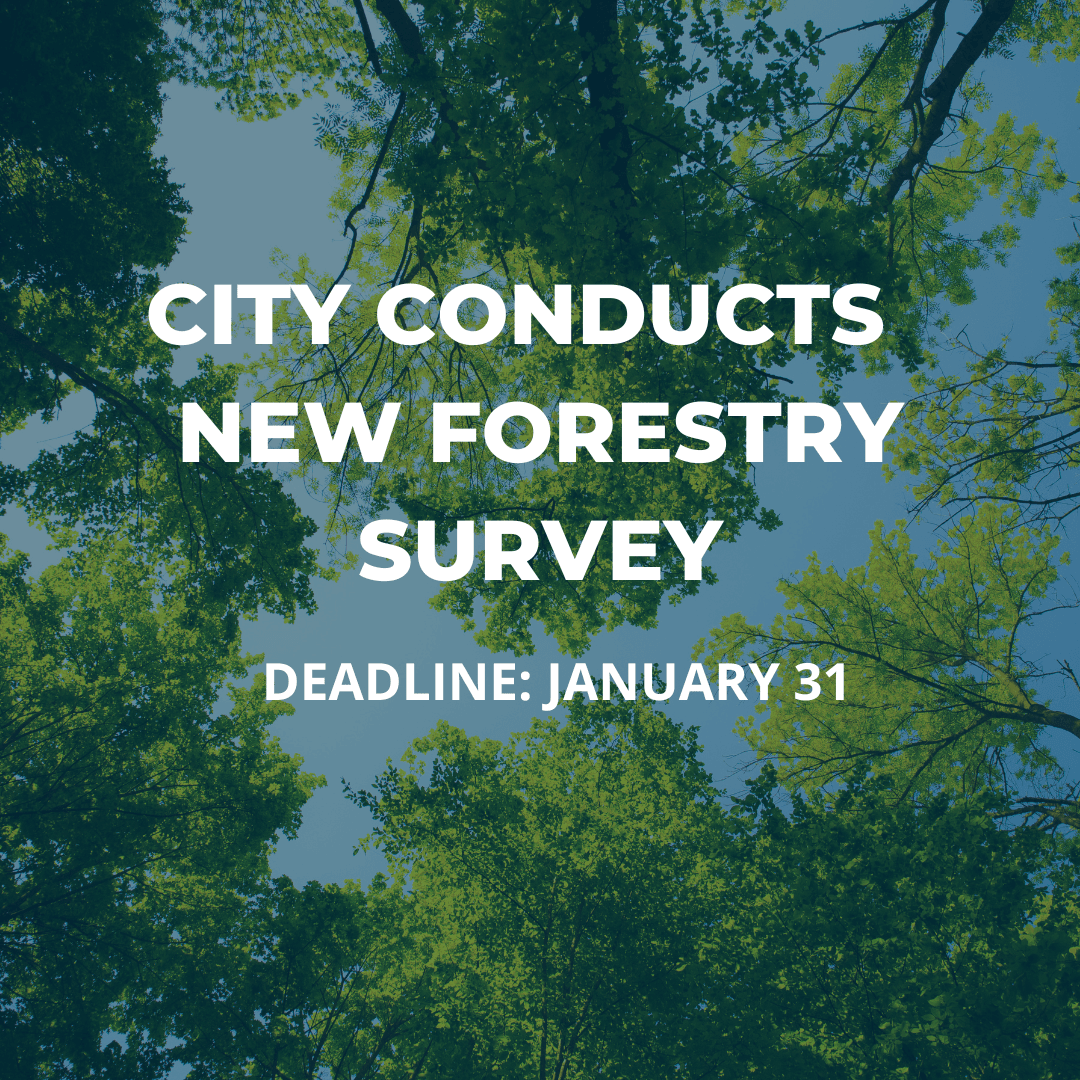 Forestry Survey (1)