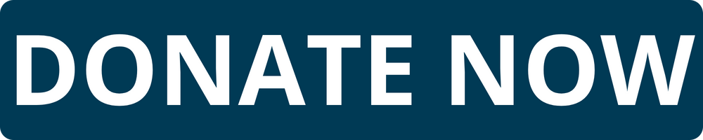 DONATE NOW BUTTON