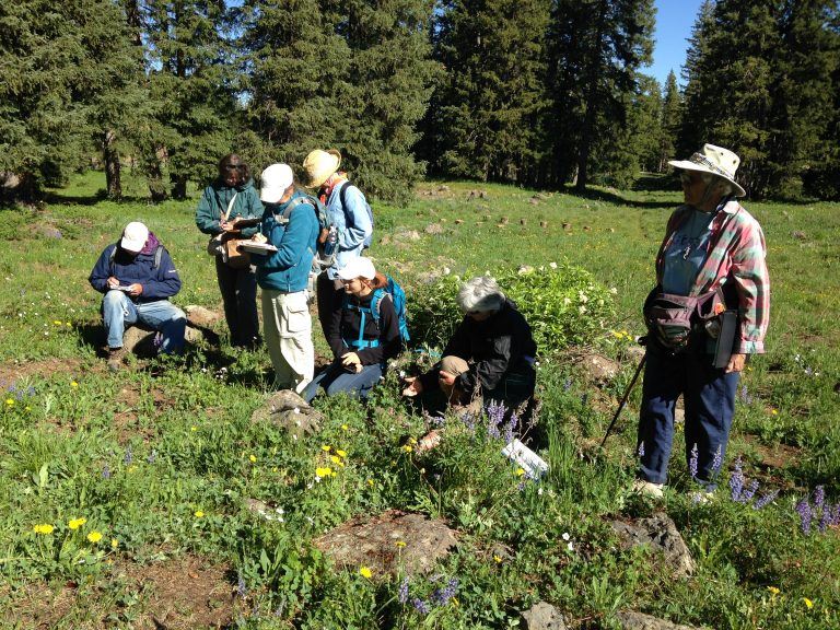 group in field