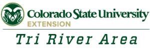 Colorado State University Logo