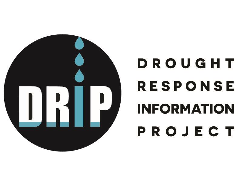DRIP Logo