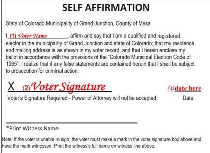back panel of ballot with signature line